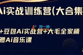 大毛《Ai实战训练营大合集》