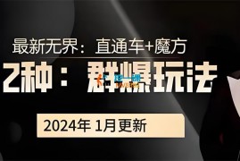 冰可乐《2024直通车+魔方2种群爆玩法》