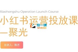 陈艺《小红书聚光运营投放课》