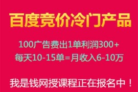 我是钱《百度竞价冷门产品40期》