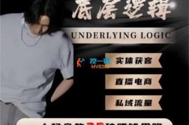 辉总不累《一个人起盘的底层逻辑》