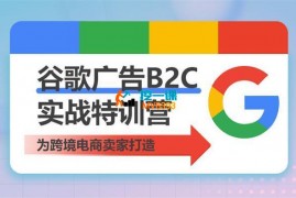 Yuan《谷歌广告B2C实战特训营》