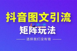 李斗金《抖音图文引流矩阵》