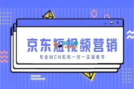 京东短视频营销项目