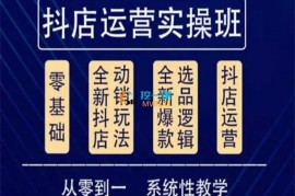 他创传媒《抖音小店系统运营实操课》