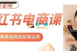 景景《小红书电商新手实操课程》
