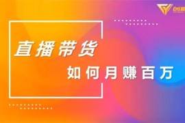 创嬴文化《直播带货如何月赚百万》