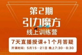 洪七《引力魔方线上训练营第2期》