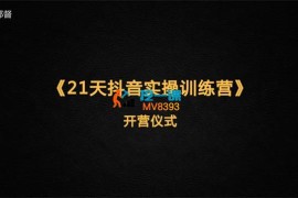 杨都督《21天抖音实操训练营》