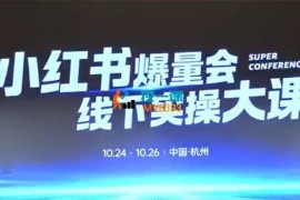 戴小胖《小红书爆量会杭州线下课》
