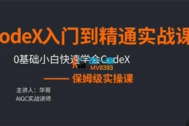 华哥《CodeX入门到精通实战课》