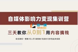 大漂亮《自媒体影响力变现集训营》