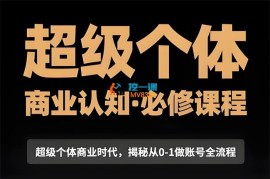 胡冰《超级个体商业认知觉醒》