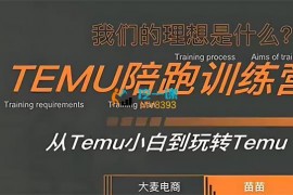 大麦电商《TEMU陪跑训练营》