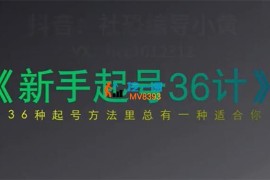 小黄《新手起号36计2.0》