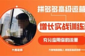 大麦《拼多多高级运营增长实战训练营》