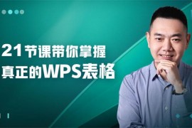 伍昊《21节课带你掌握WPS表格》