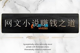 一条哥《网文小说赚钱之道》
