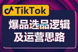 胖柴《TikTok爆品选品逻辑及运营思路》