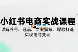 戴小胖《小红书从0-1实操课2023-2025》