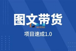 宁老师《图文带货项目速成1.0》