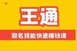 王通：不要小瞧任何一个小领域，取名技能也能快速赚钱