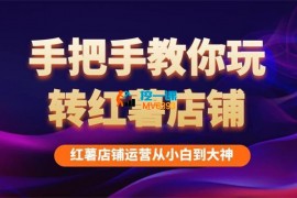 海燕《2024手把手教你玩转红薯店铺》
