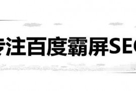贾加波：百度霸屏SEO系统操作方法