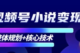 柚子：视频号小说变现，整体规划+核心技术