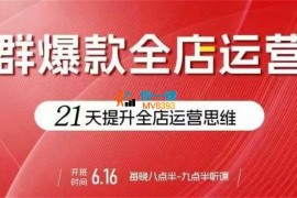 贾真《电商群爆款全店运营》