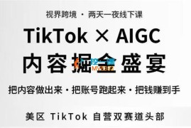 视界跨境《TikTok Aigc美区短视频带货4月17-18号线下课》