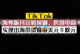 嘉伟《TiKToK跨境电商变现营》