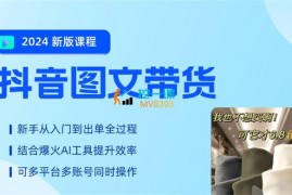 众筹：陈奶爸·抖音图文带货2024新版