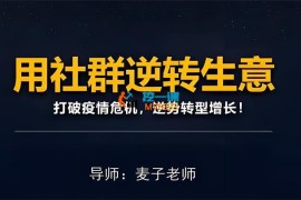麦子《用社群拯救生意》