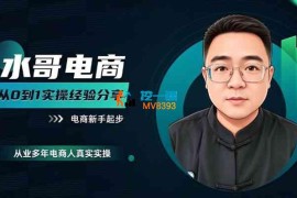水哥《电商从0~1实操经验分享》