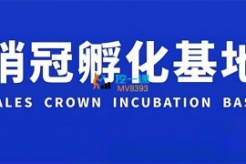 众筹：梁靠谱·销冠孵化基地