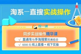 善帮电商《淘系直搜实战全套课程》