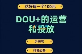 大王真《DOU+的运营和投放》