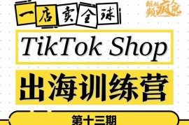 李社长《TikTok Shop出海训练营13期》