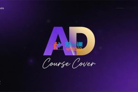 王百万《AD+本地推线索获客》