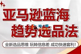 超哥《亚马逊蓝海趋势选法》