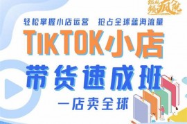 疯人院《TikTok Shop 带货速成班》