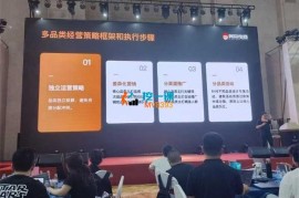 阿呆《全店动销型经营模式线下课》