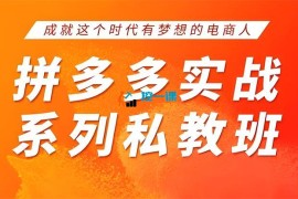华生《2025拼多多实战系列私教班》