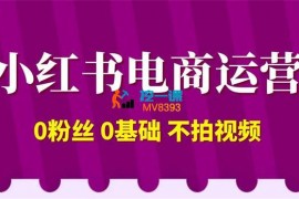 达哥《小红书电商运营2024版》