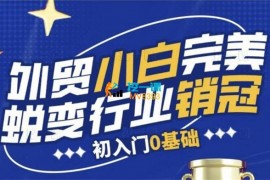 melody《外贸小白完美蜕变行业销冠》