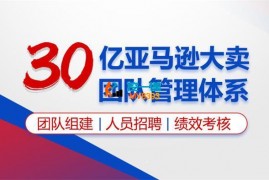 杨老师《30亿亚马逊大卖团队管理体系》