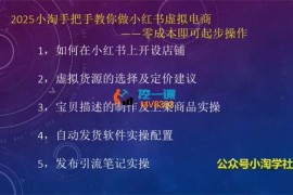 小淘《2025手把手教你做小红书虚拟电商》
