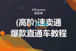 AliExpress《高阶速卖通爆款直通车教程》