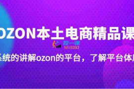 老迟《OZON本土电商精品课程》